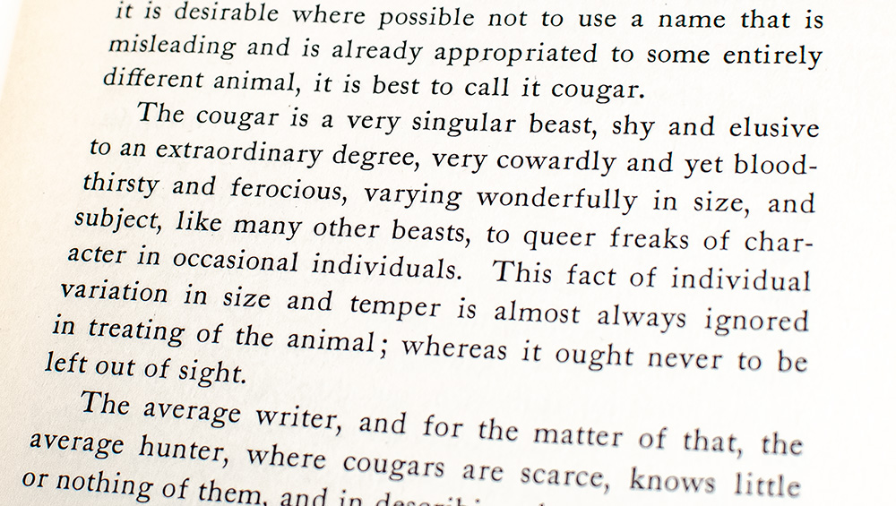Outdoor Pastimes of an American Hunter.