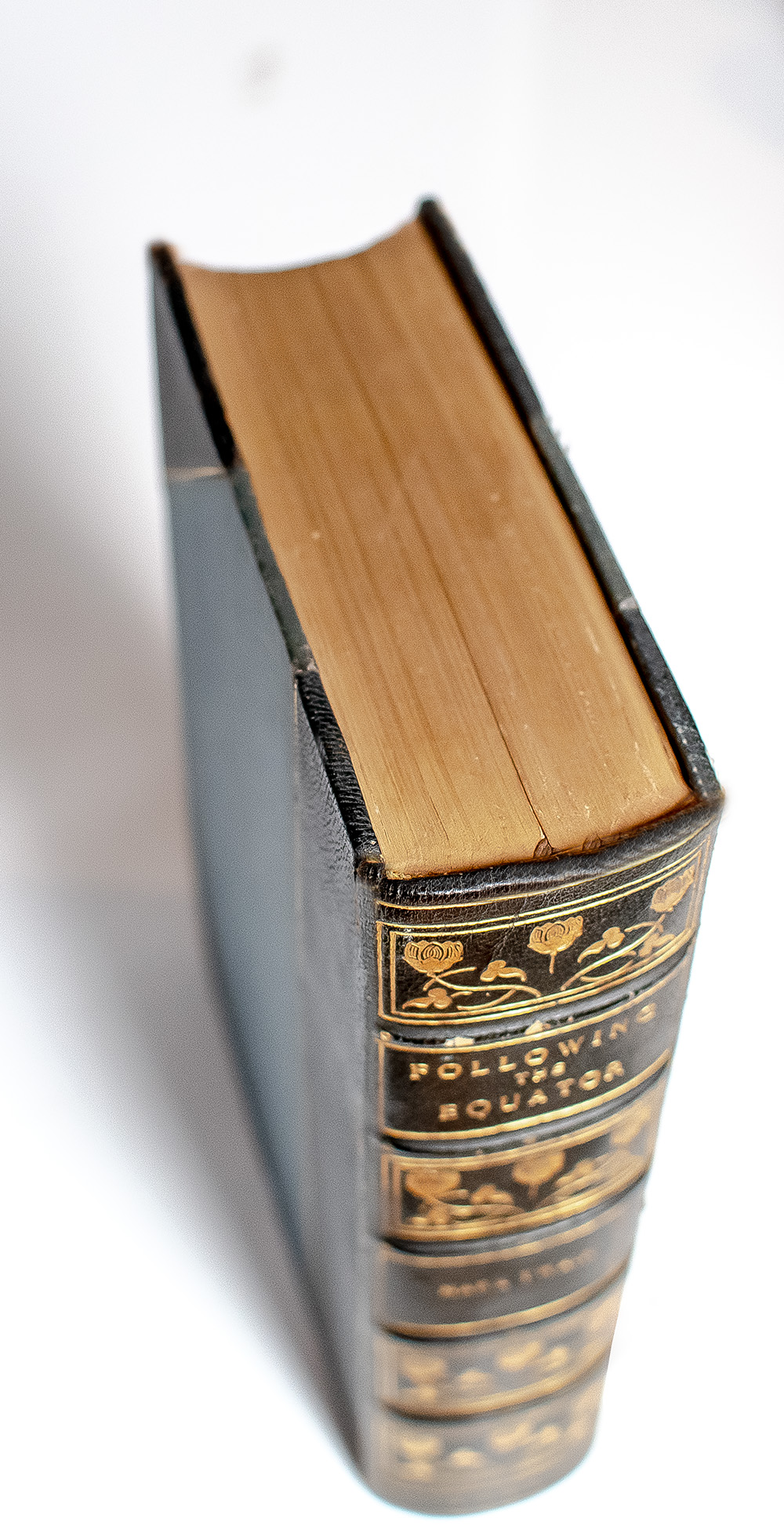 Following the Equator: A Journey Around the World.