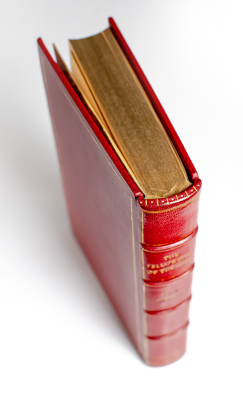 The Lord of The Rings Trilogy: The Fellowship of the Ring, The Two Towers, The Return of the King.