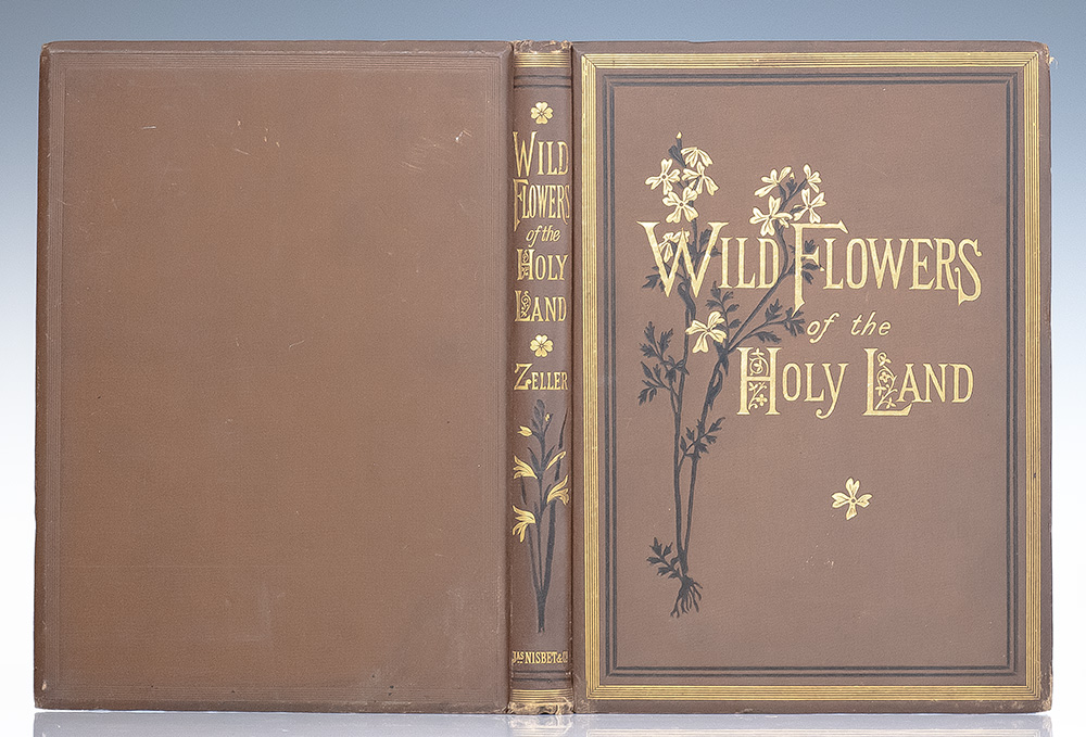 Wild Flowers of The Holy Land.