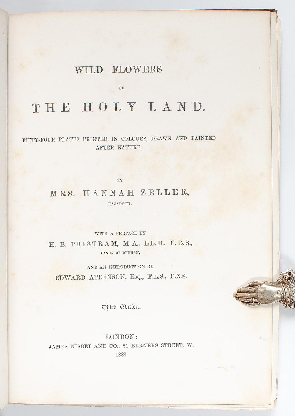 Wild Flowers of The Holy Land.