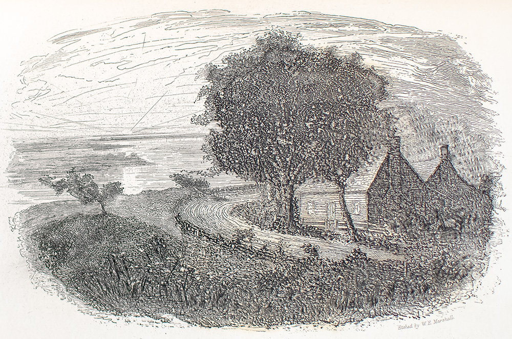 Personal Memoirs of U.S. Grant.