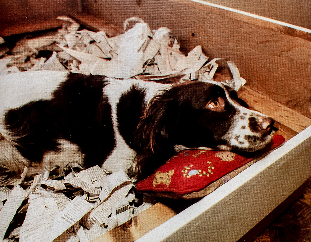 Millie's Book: As Dictated to Barbara Bush.
