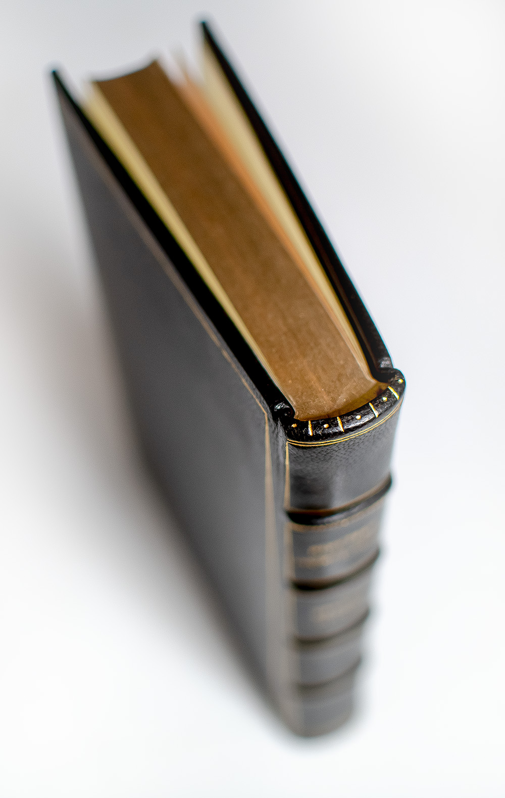 The Novels of George Orwell: Including, Burmese Days; A Clergyman's Daughter; Animal Farm; Nineteen Eighty-Four; Coming Up For Air; Keeping the Aspidistra Flying.