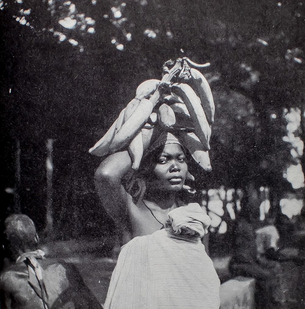 The Africa of Albert Schweitzer.