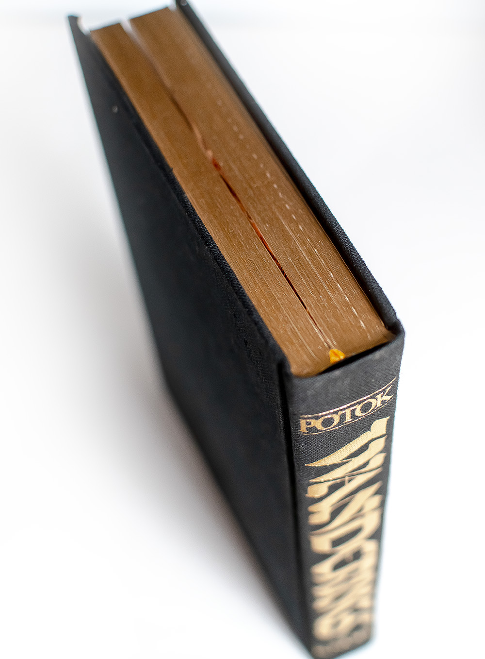 Wanderings: Chaim Potok’s History of the Jews.