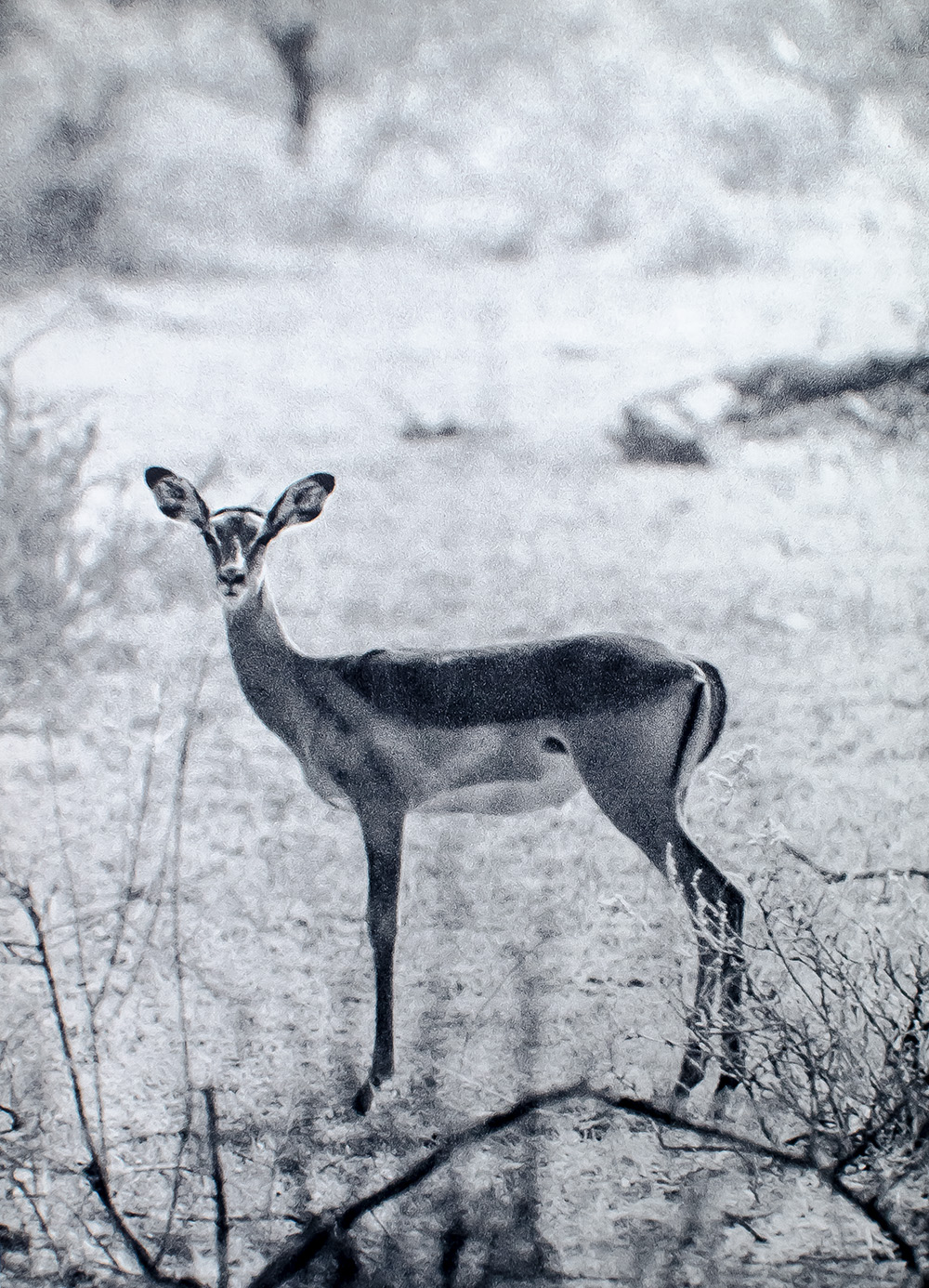 The End of the Game.