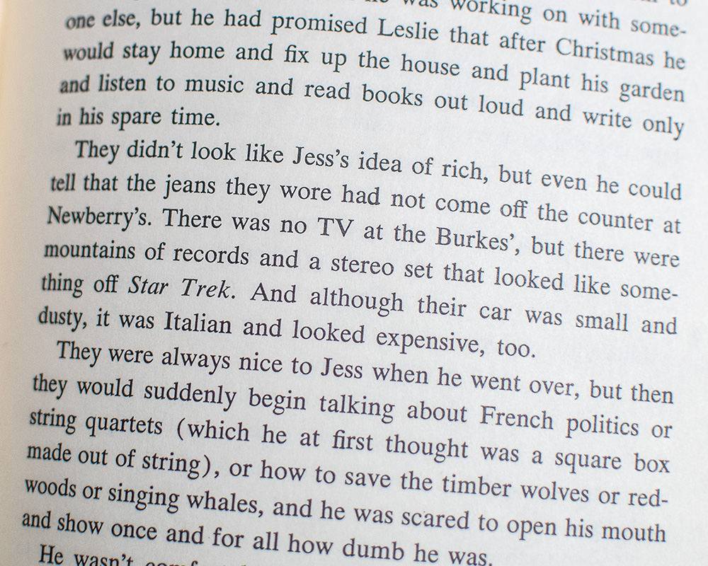 Bridge To Terabithia.