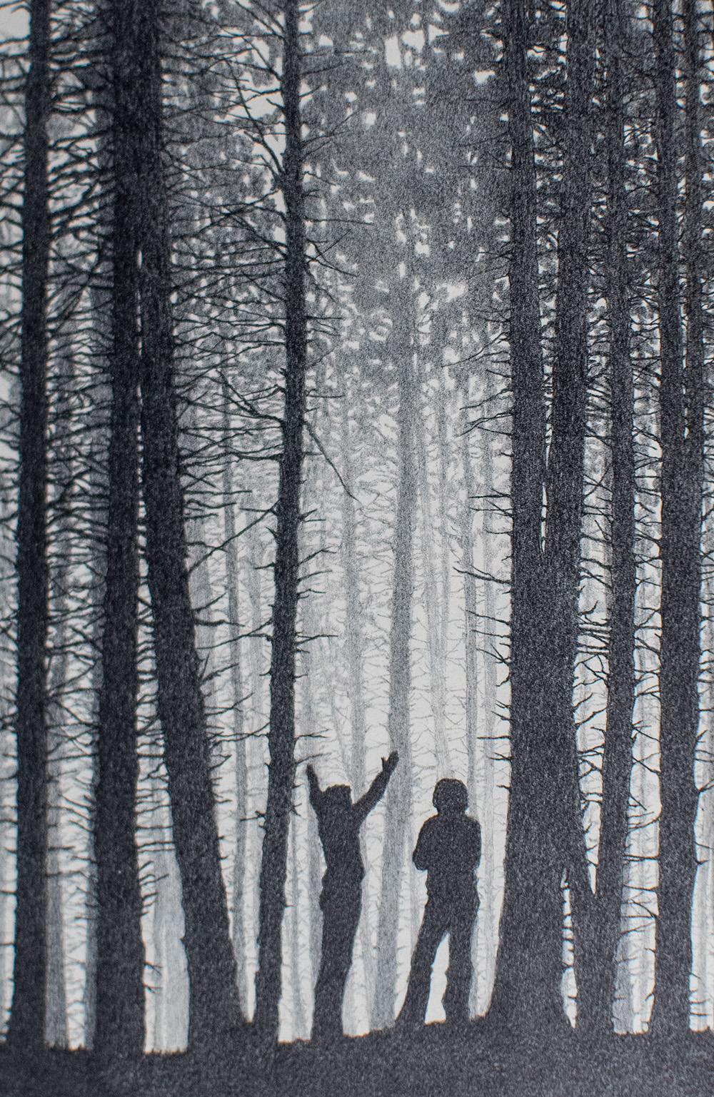 Bridge To Terabithia.