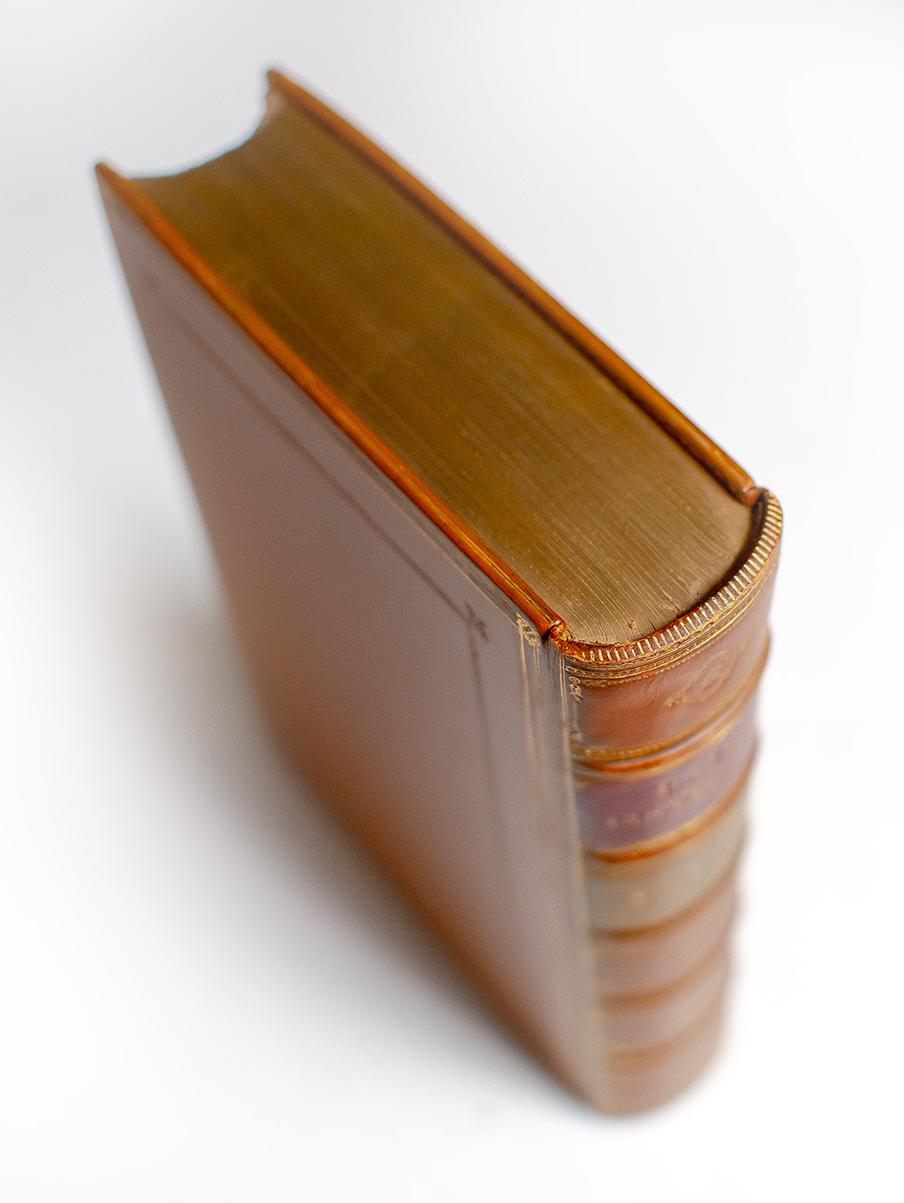 The Personal History of David Copperfield.