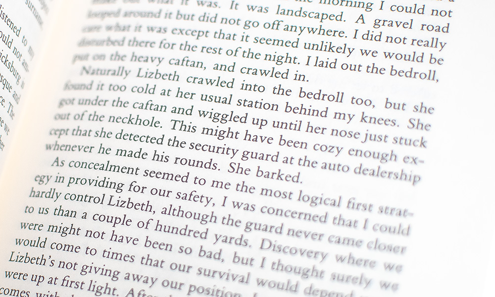 Travels With Lizbeth: Three Years on the Road and on the Streets.