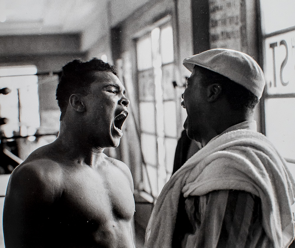 Muhammad Ali: A Thirty-Year Journey.