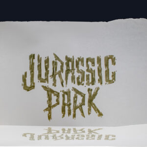 Production Sketch for Jurassic Park.