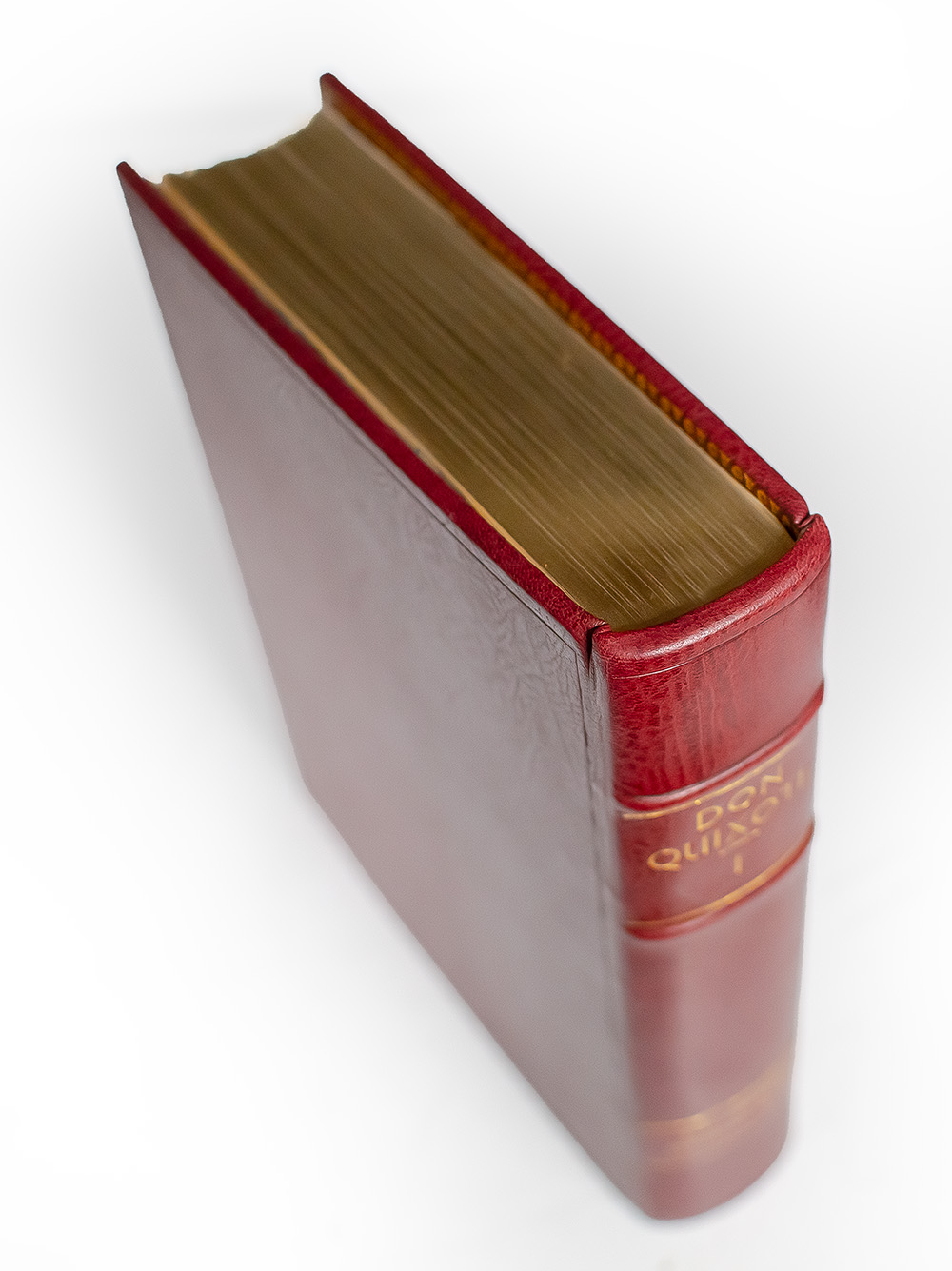 The Ingenious Gentleman Don Quixote of La Mancha.