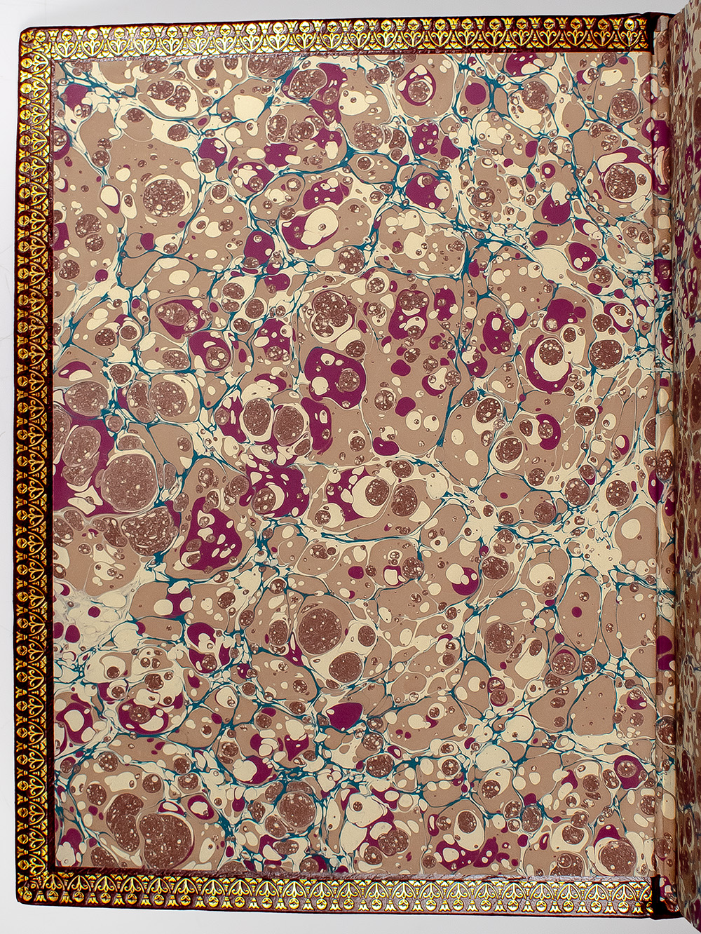 The Ingenious Gentleman Don Quixote of La Mancha.