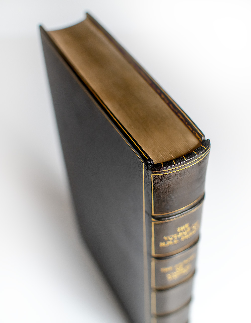 Journal of Researches Into the Natural History and Geology of the Countries Visited During the Voyage Round the World of H.M.S. Beagle Under the Command of Captain Fitz Roy, R. N.