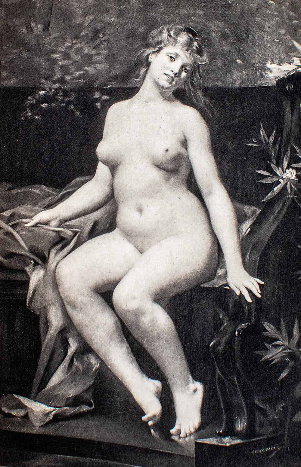 Beauty: Illustrated Chiefly by an Analysis and Classification of Beauty in Woman.