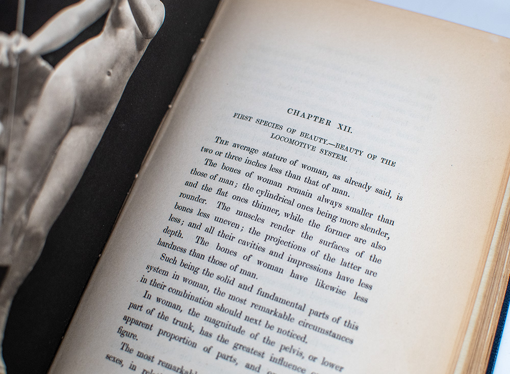 Beauty: Illustrated Chiefly by an Analysis and Classification of Beauty in Woman.