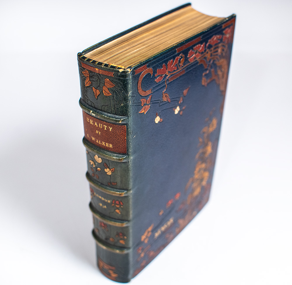 Beauty: Illustrated Chiefly by an Analysis and Classification of Beauty in Woman.