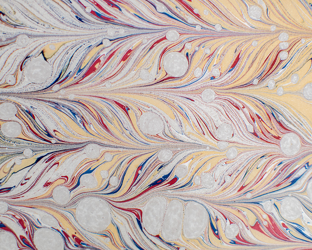 The Rise And Fall Of The Third Reich: A History of Nazi Germany.