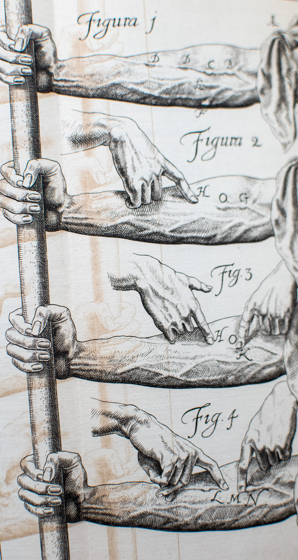 The Anatomical Exercises of Dr. William Harvey. De Motu Cordis 1628: De Circulatione Sanguinis 1649: The First English Text of 1653 Now Newly Edited By Geoffrey Keynes.