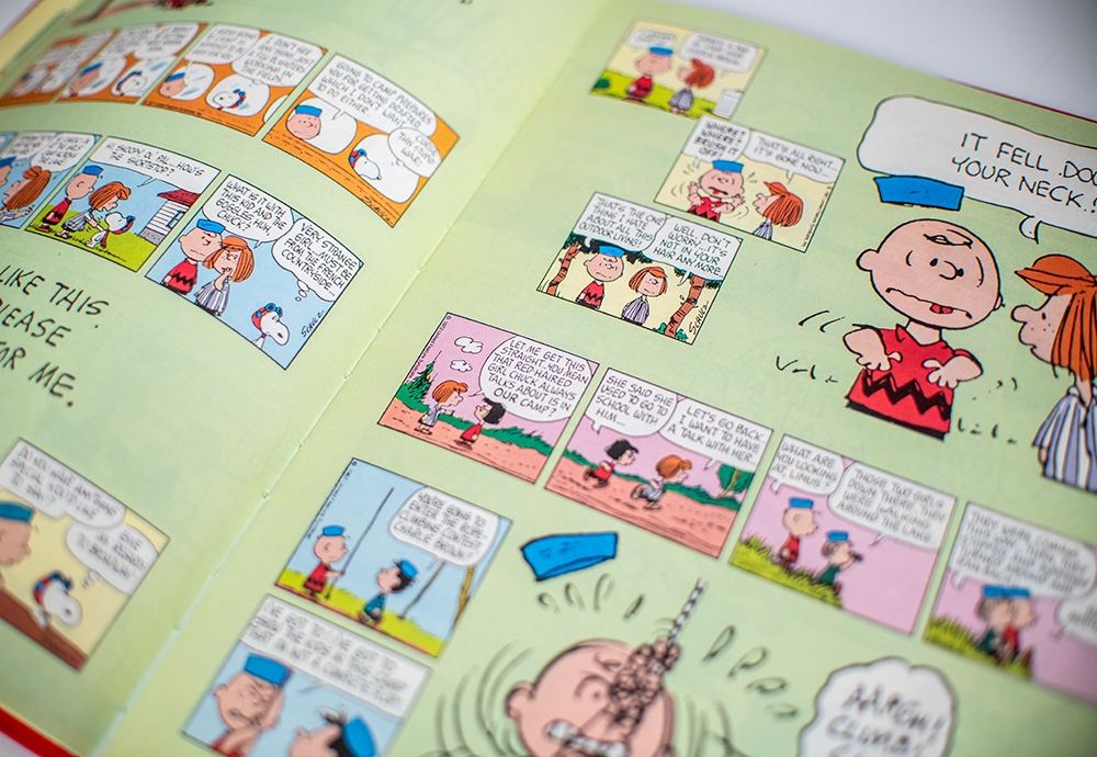 Charlie Brown: This Is Your Life.