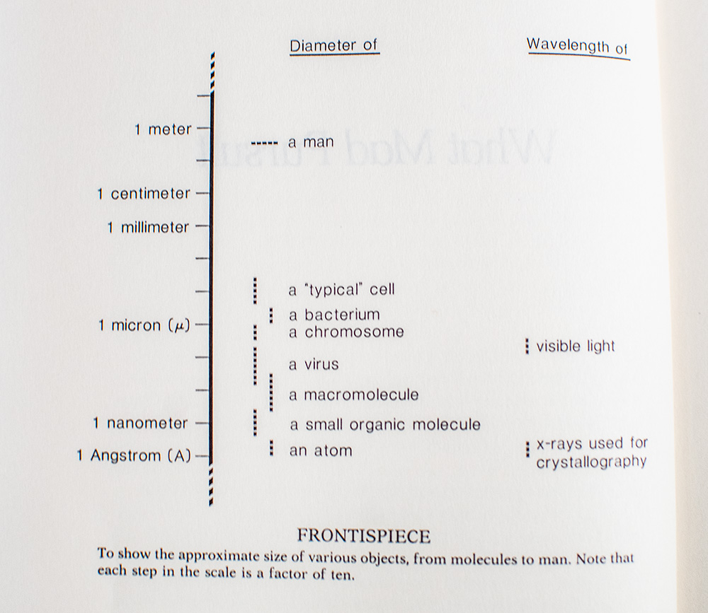 What Mad Pursuit: A Personal View of Scientific Discovery.