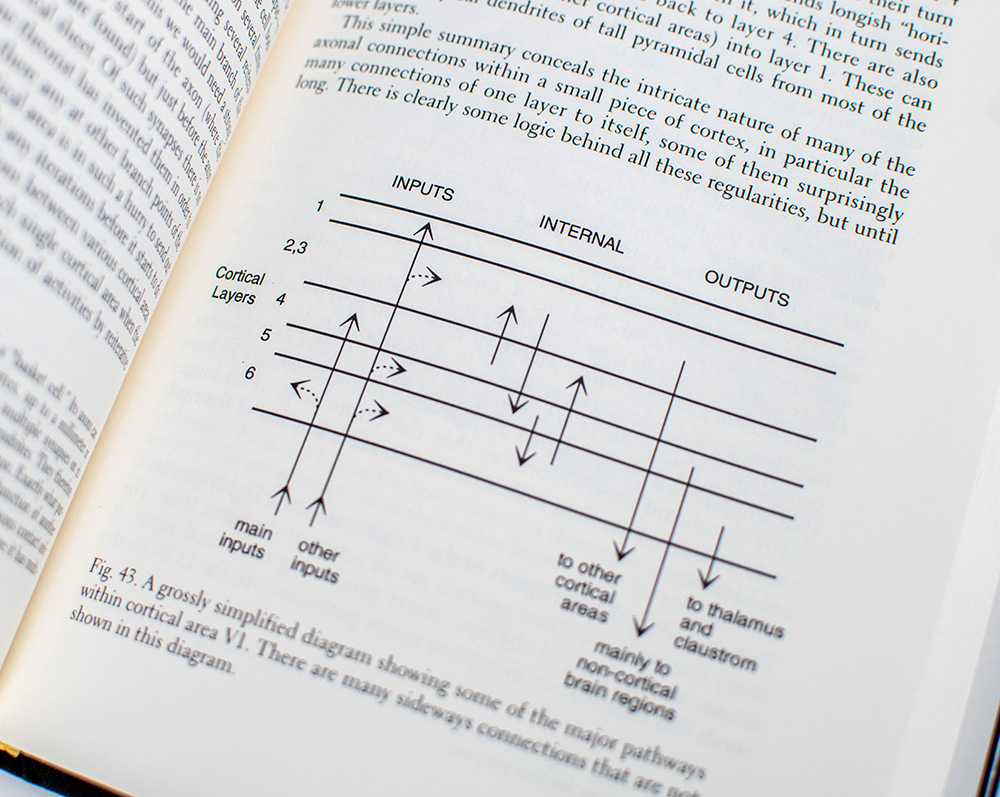 The Astonishing Hypothesis: The Scientific Search for the Soul.