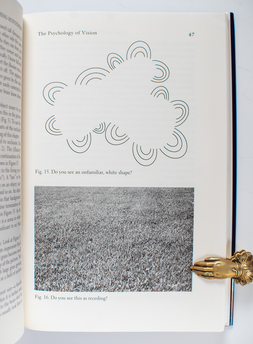 The Astonishing Hypothesis: The Scientific Search for the Soul.