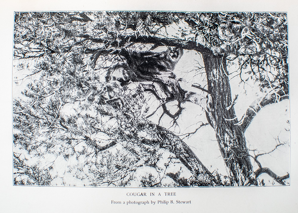 Outdoor Pastimes of an American Hunter.