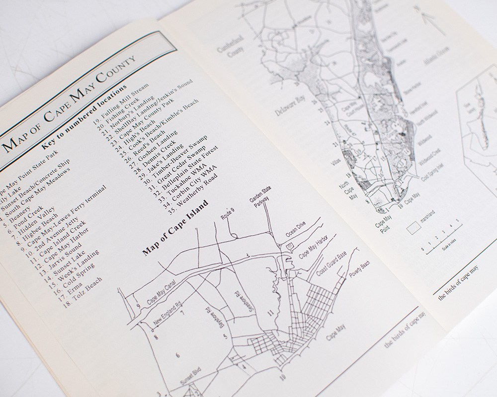 The Birds of Cape May.