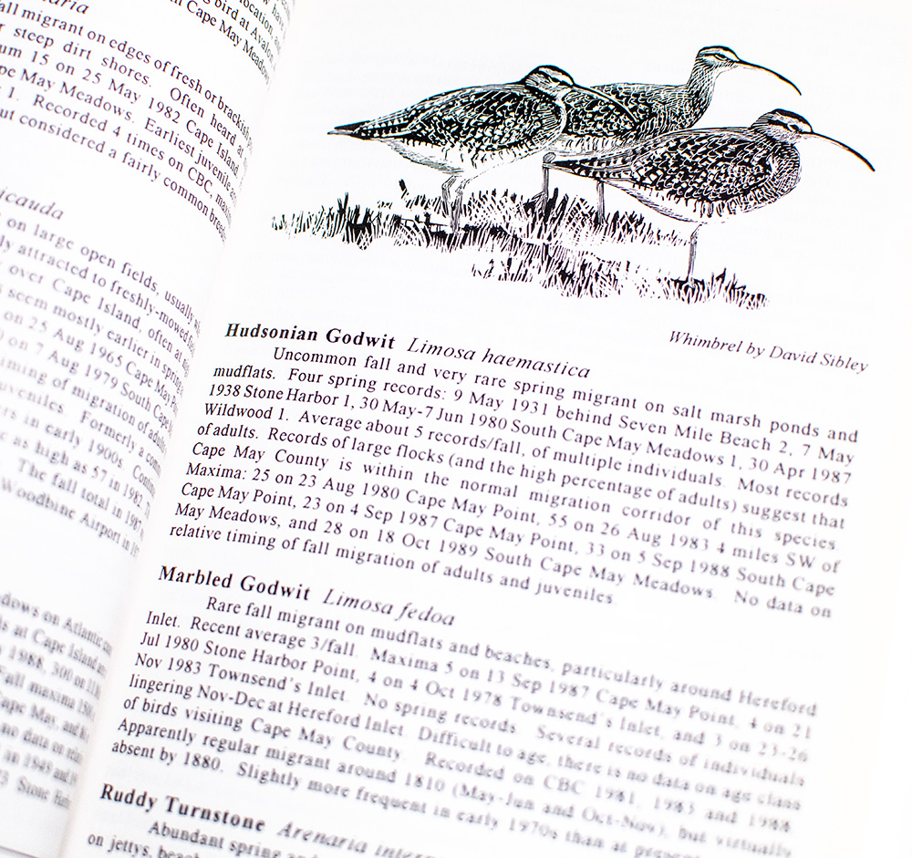 The Birds of Cape May.