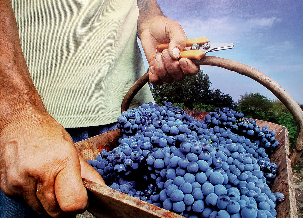 The World's Greatest Wine Estates: A Modern Perspective.