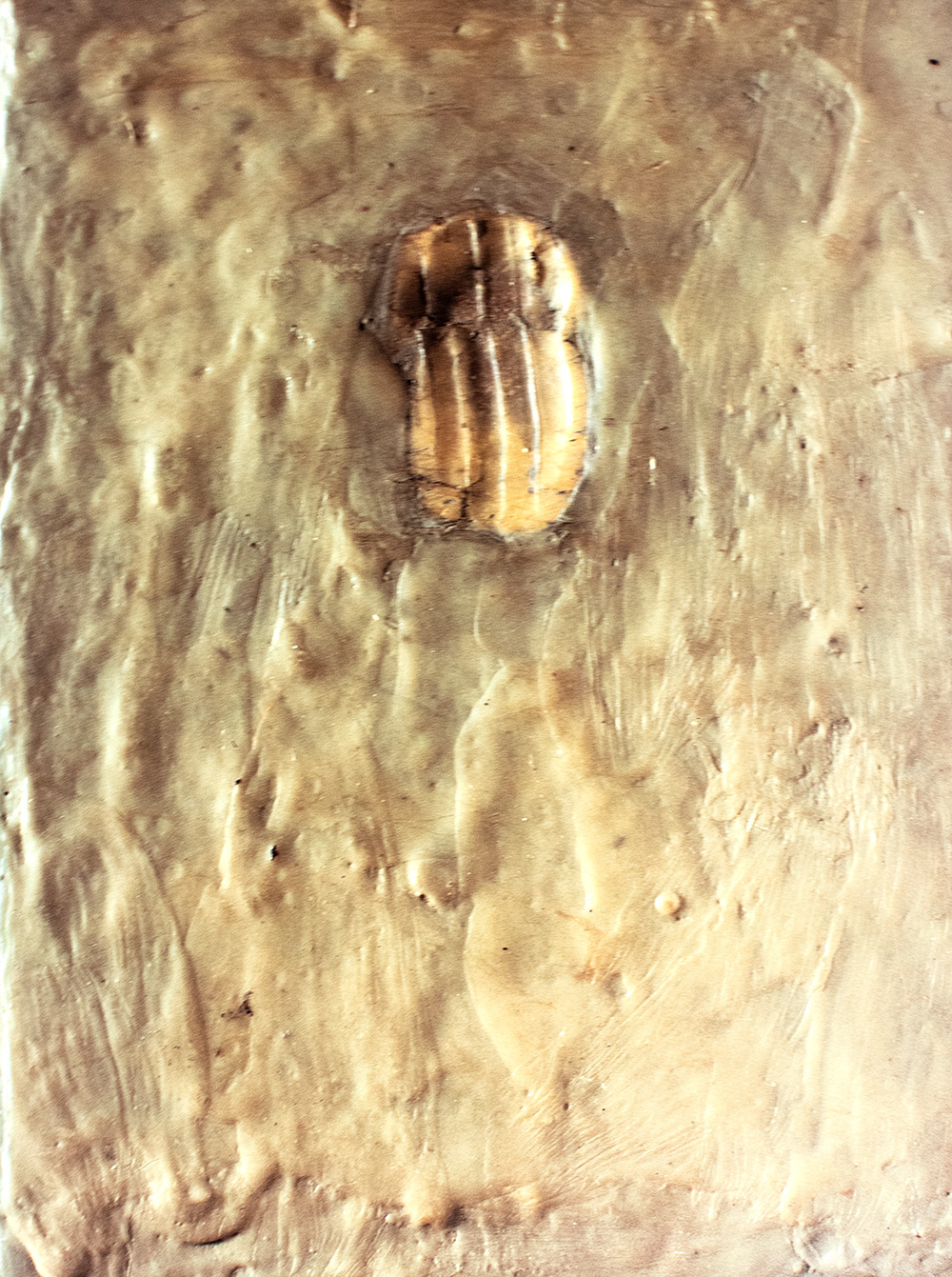 Jasper Johns: A Retrospective.