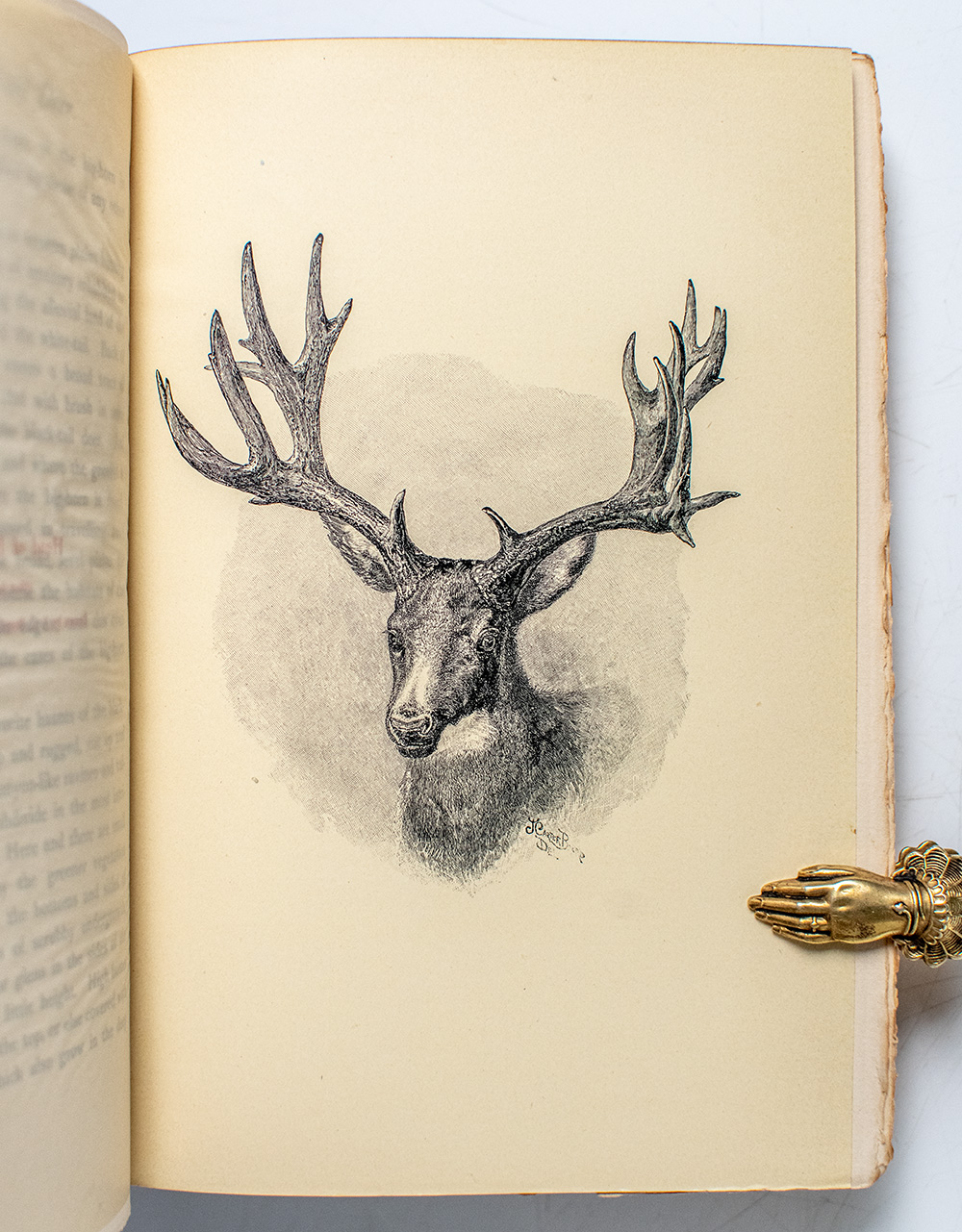 Hunting Trips of a Ranchman. Sketches of Sport on the Northern Cattle Plains.