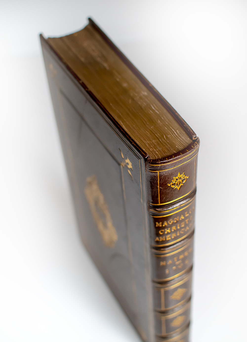 Magnalia Christi Americana: or, the Ecclesiastical History of New-England, From Its First Planting in the Year 1620. unto the Year of our Lord, 1698.