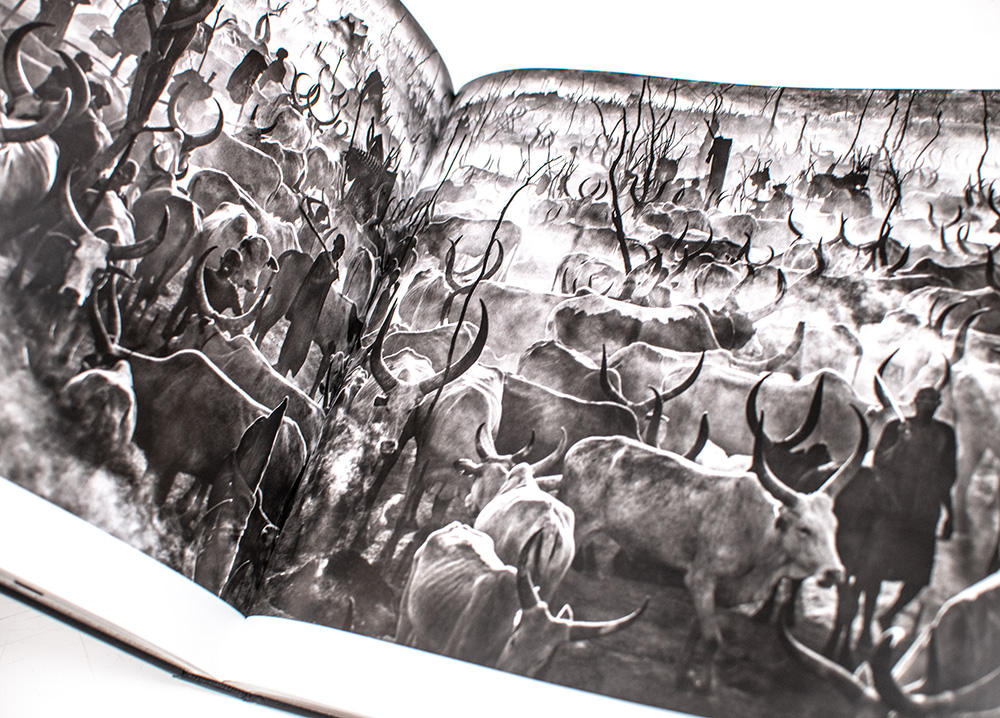 Wild Encounters: Iconic Photographs of the World's Vanishing Animals and Cultures.