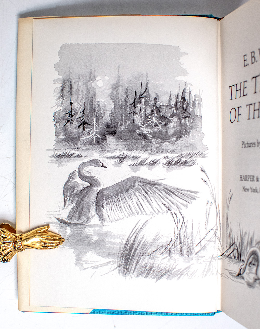 The Trumpet of the Swan.