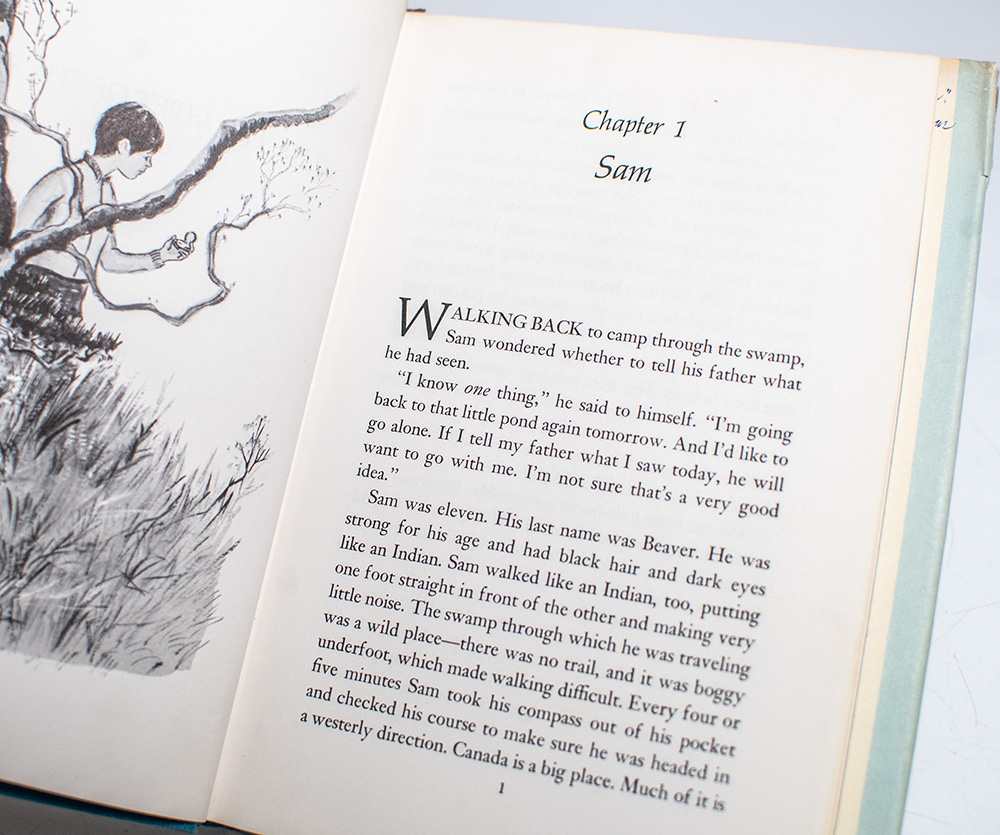 The Trumpet of the Swan.