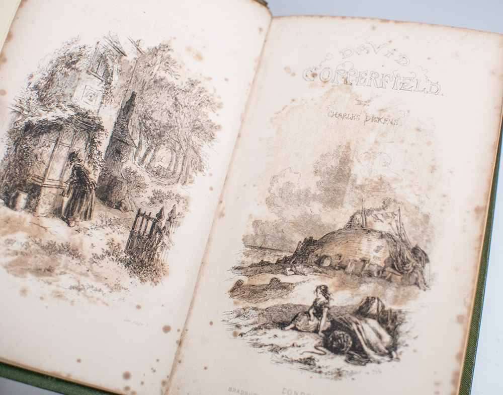 The Personal History of David Copperfield.