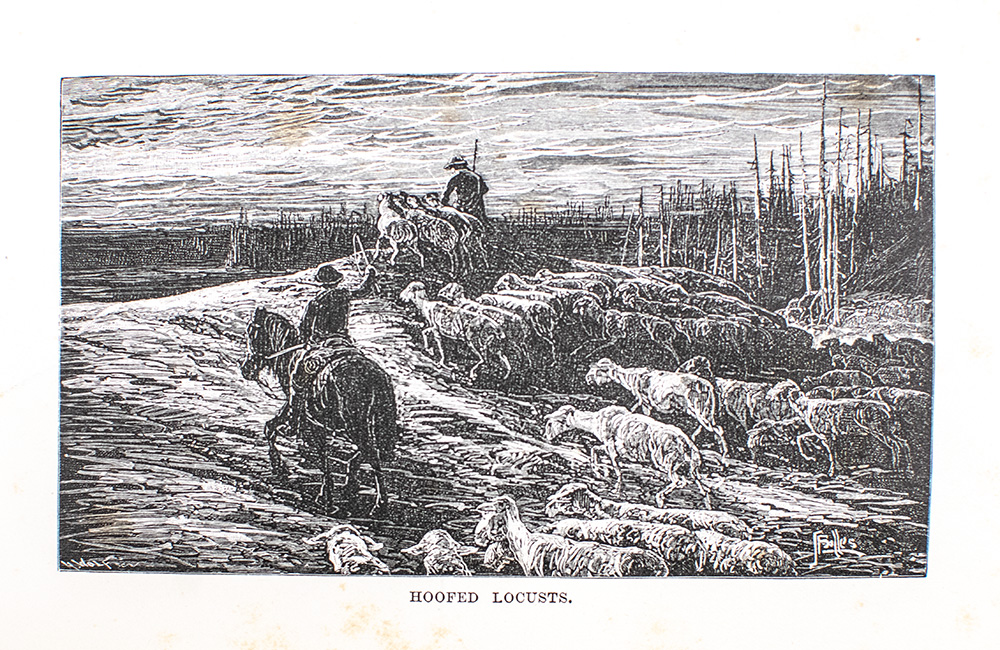 The Mountains of California.