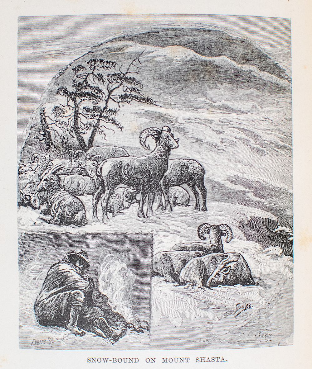 The Mountains of California.