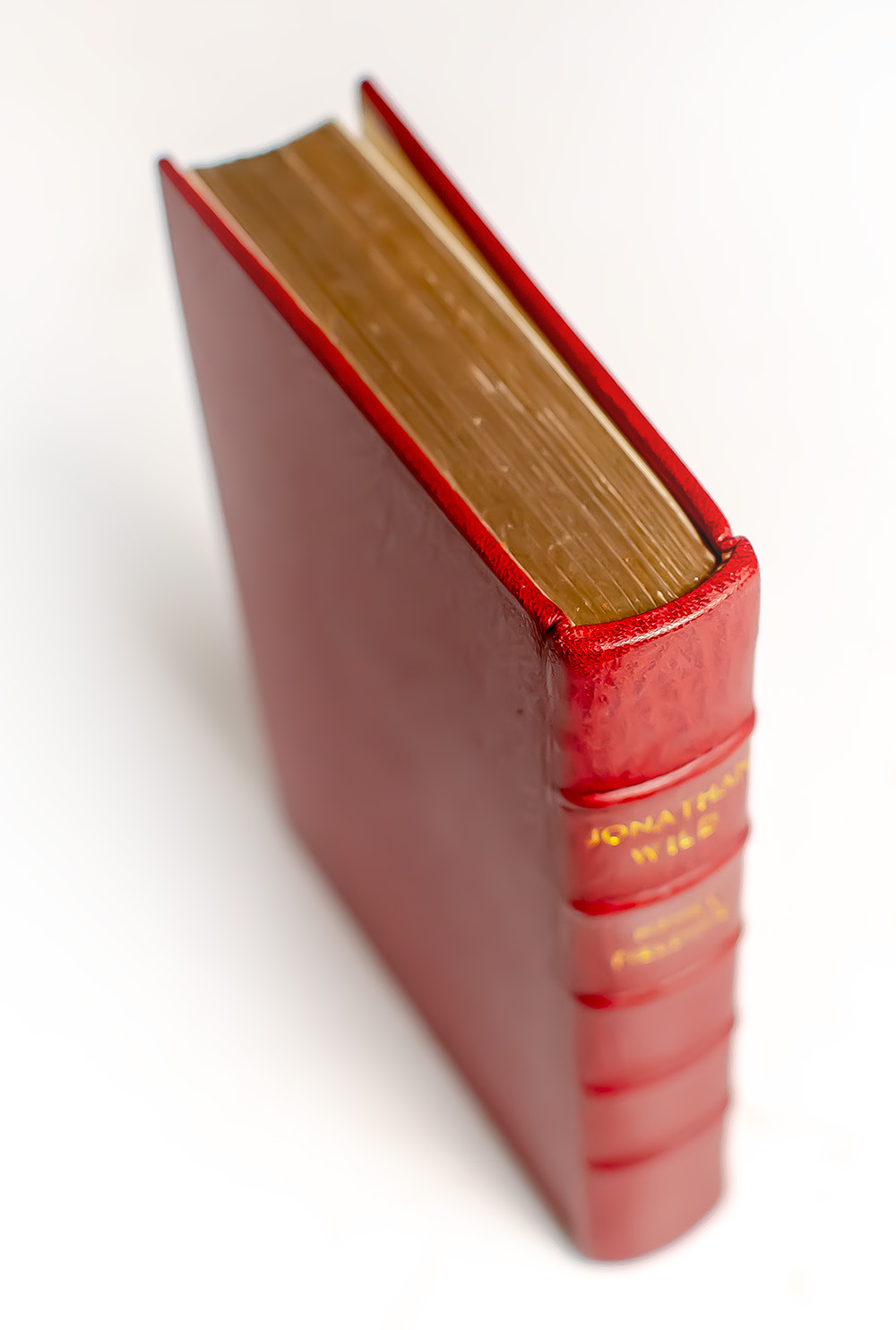 The Novels of Henry Fielding: The History of the Adventures of Joseph Andrews and His Friend Mr. Abraham Adams; The History of the Life of the Late Mr. Jonathan Wild the Great; The History of Tom Jones, a Foundling; Amelia.