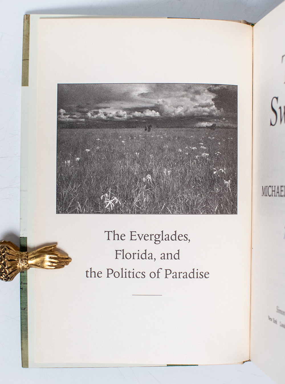 The Swamp: The Everglades, Florida, and the Politics of Paradise.