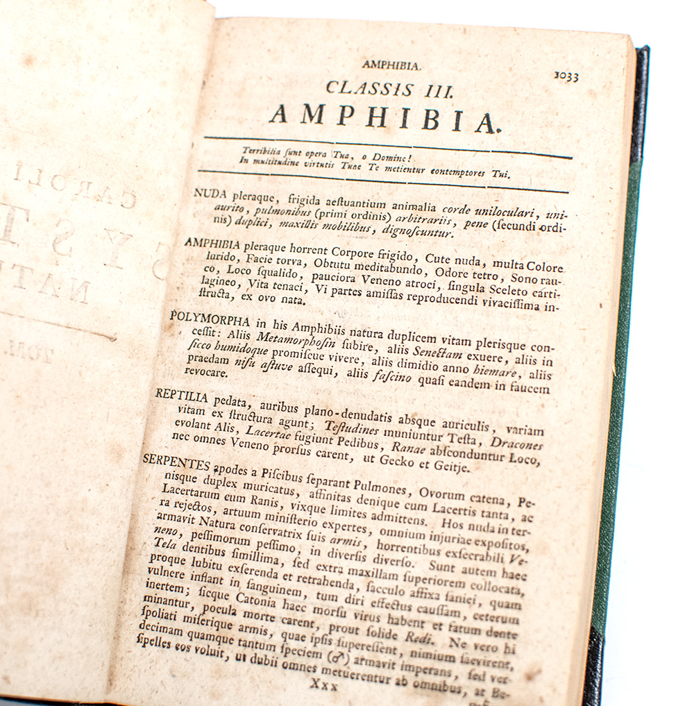 System Naturae. Book I Part III: Amphibia.