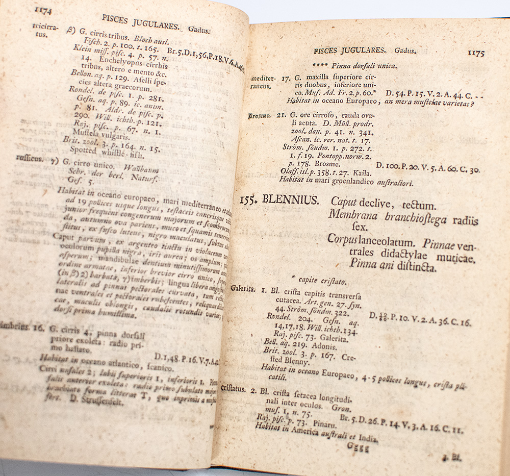 System Naturae. Book I Part III: Amphibia.