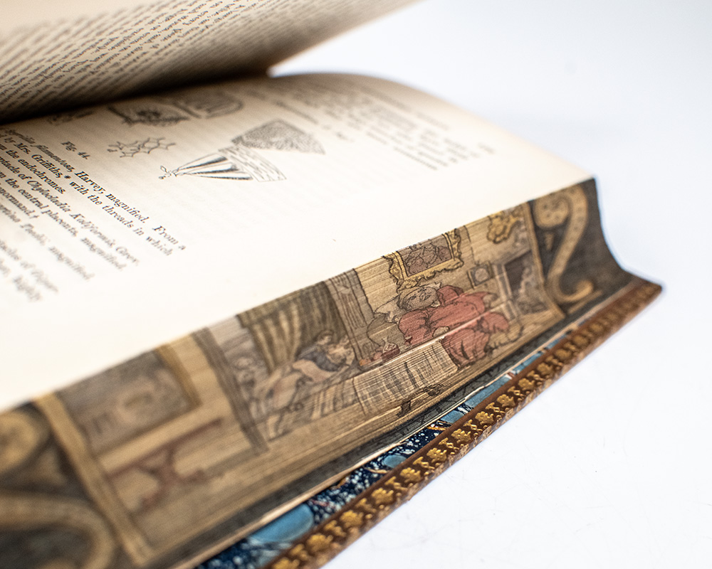 Introduction to Cryptogamic Botany. [Fore-Edge Painting].
