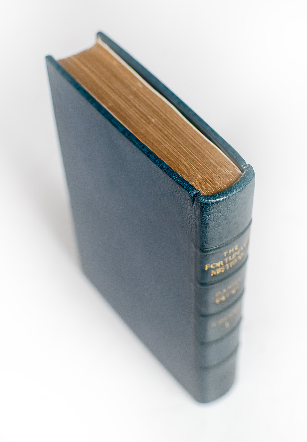 The Novels and Selected Writings of Daniel Defoe: The Shortest Way with the Dissenters; Captain Singleton; Memoirs of a Cavalier; A Journal of the Plague Year; Colonel Jack; Moll Flanders; Roxana: The Fortunate Mistress; A Plan of the English Commerce.