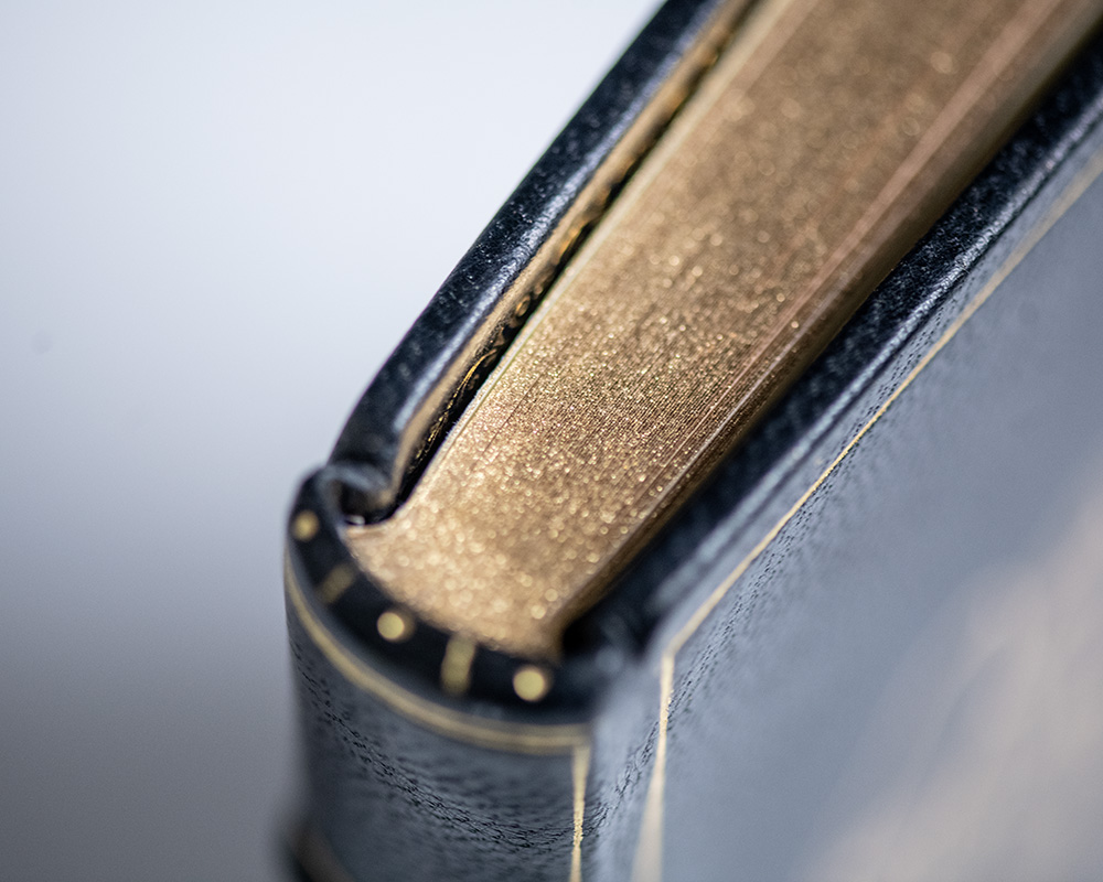 Lady and the Tramp: The Story of Two Dogs.