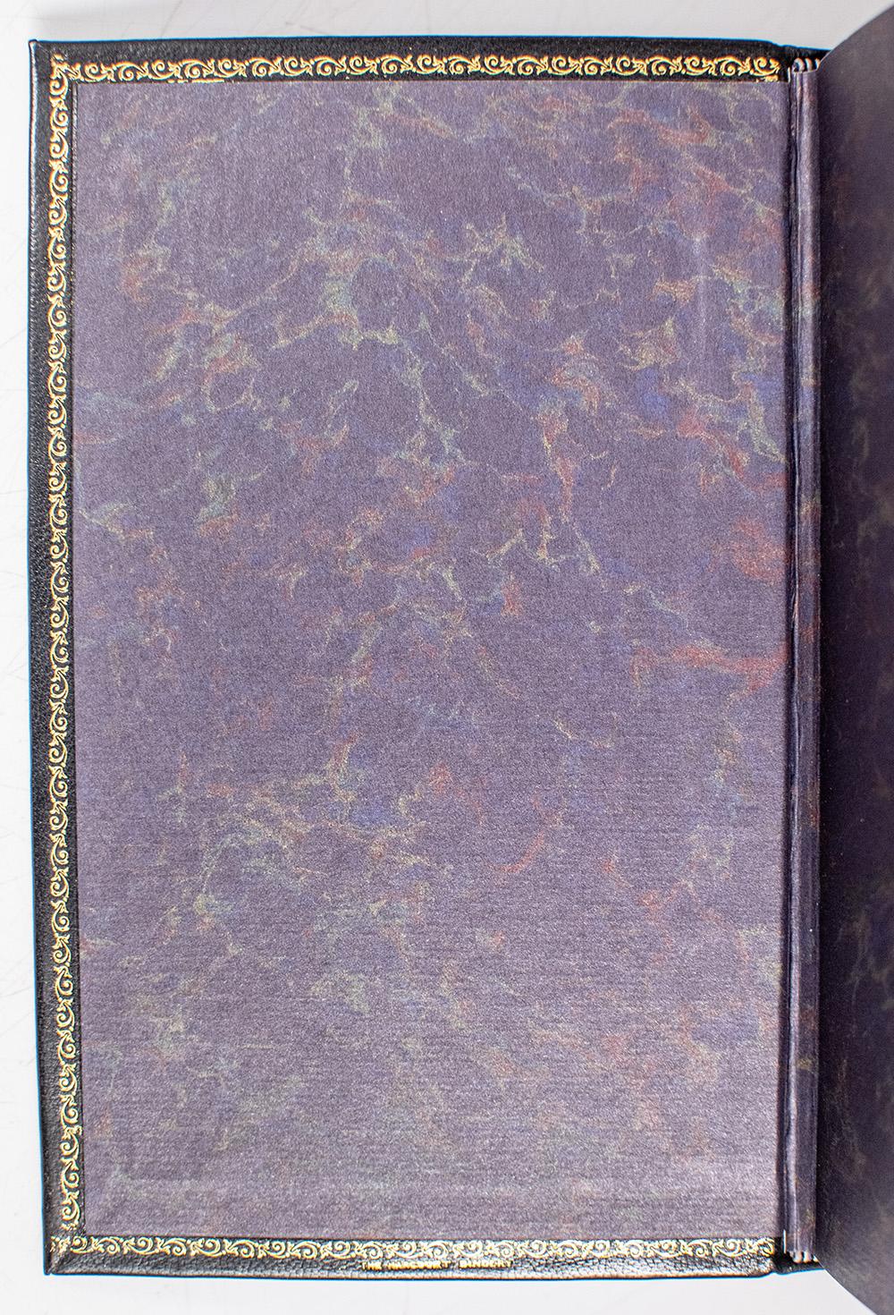 Lady and the Tramp: The Story of Two Dogs.